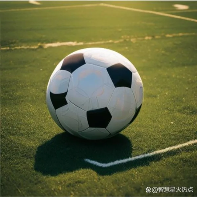 聚焦体育赛场:焦点人物与战术细节深度解析